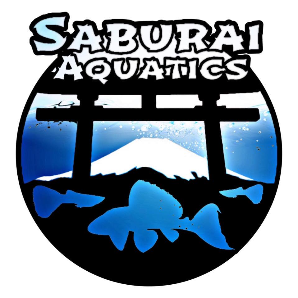 Saburai Aquatics