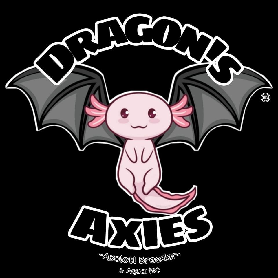 Dragon's Axies