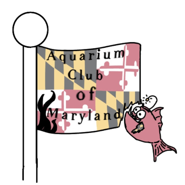 Aquarium club of Maryland