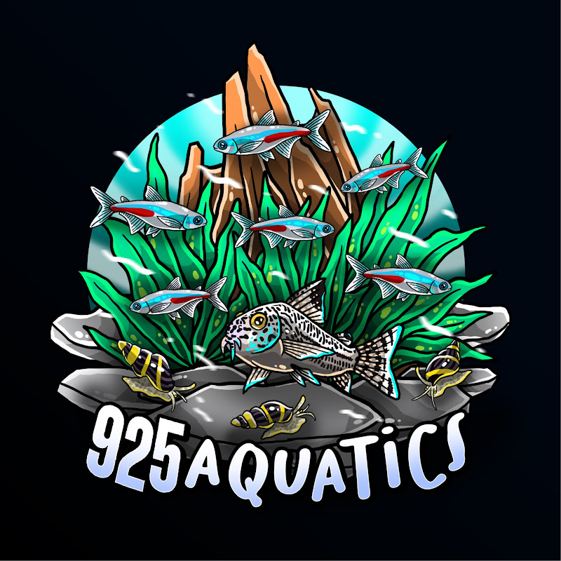 925 Aquatics aka Daniel
