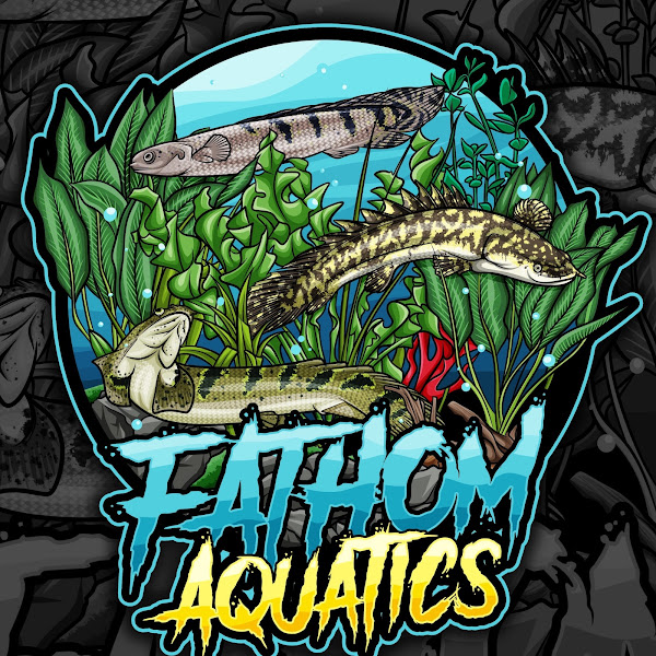 Fathom Aquatics