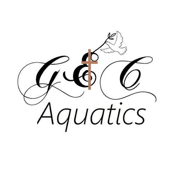 G&C Aquatics