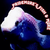 Pridemore's fish & more