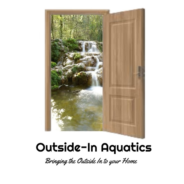 Outside-In Aquatics