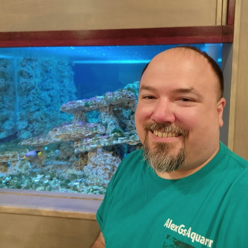 AlexGs Aquarium