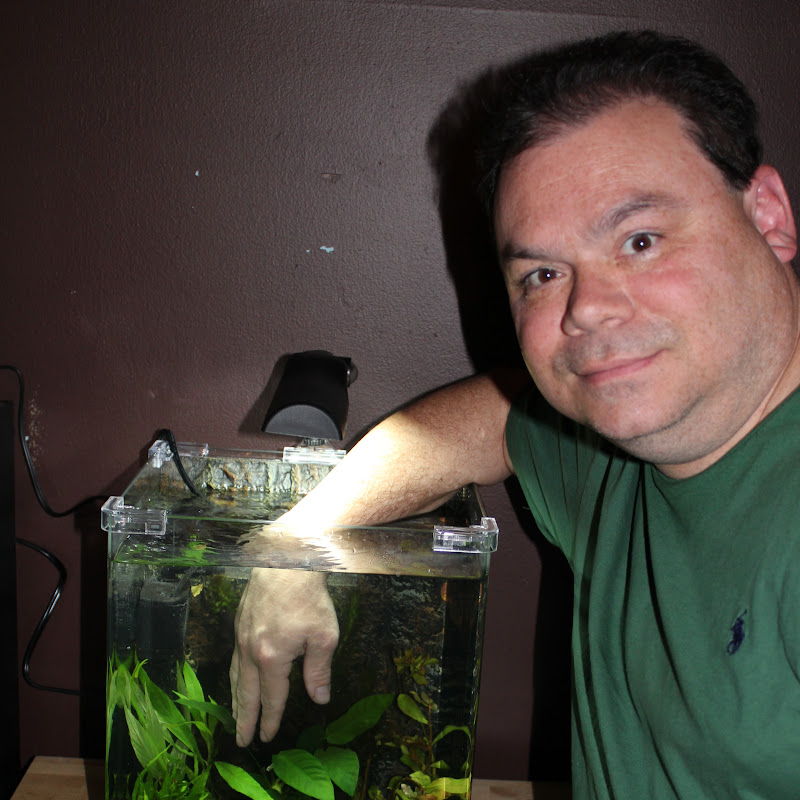 All Natural Aquatics