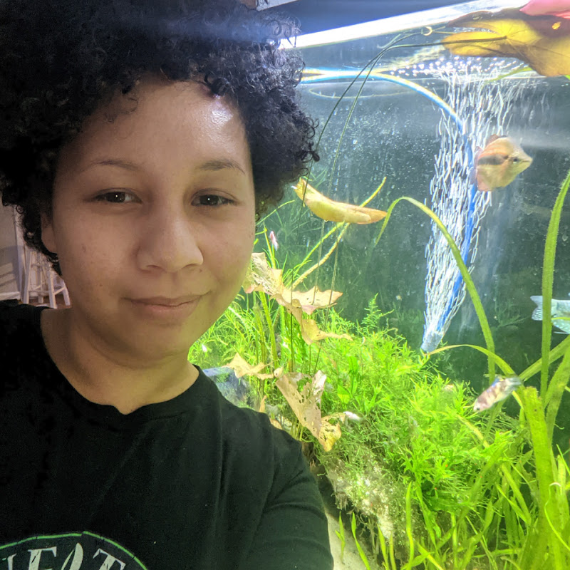 Aquatic Ma (K Lilly)