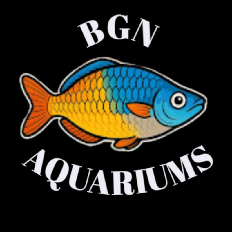 BGN Aquariums