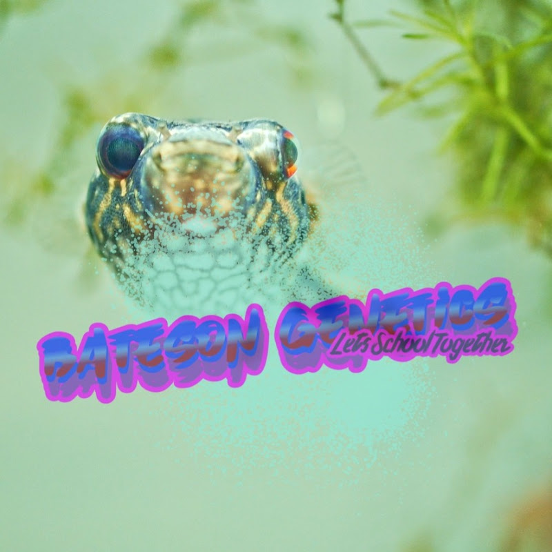 Bateson Genetics