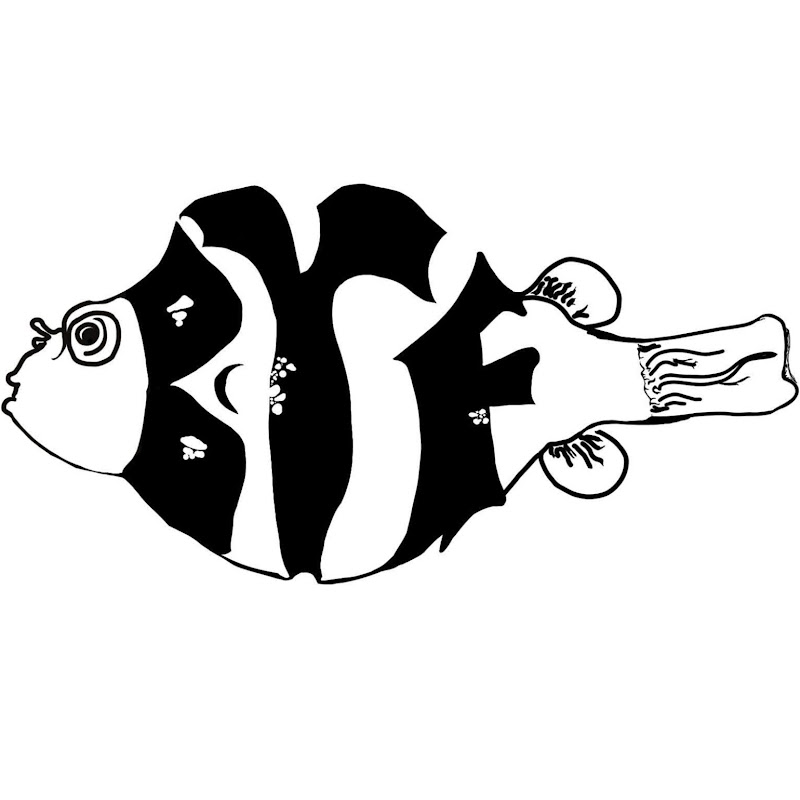 Because Your Fish (Seth)