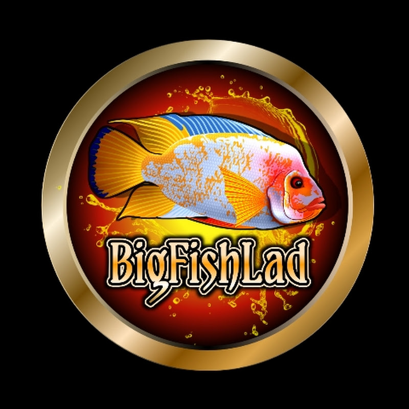 Big Fish Lad