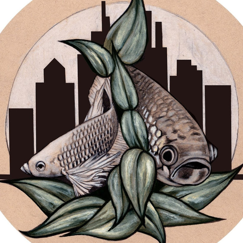 Black Water Witch Aquatics