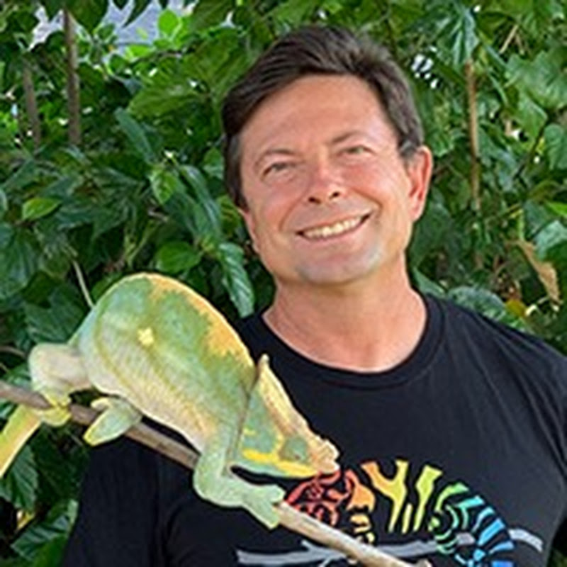 Chameleon Academy