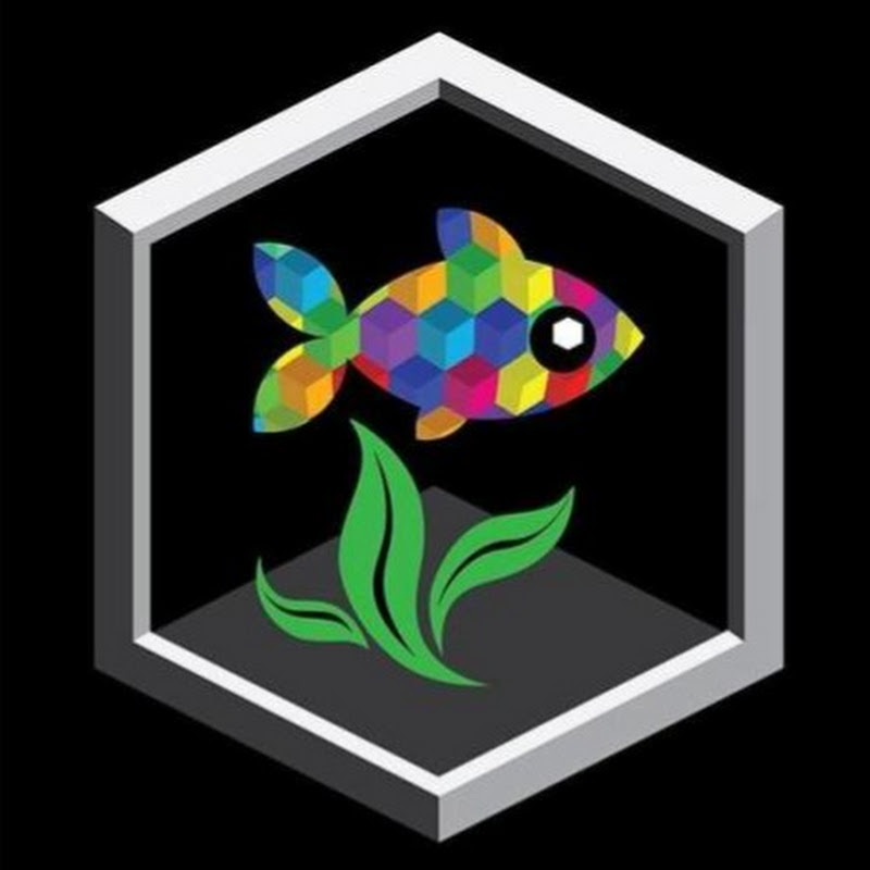 Cuboid Nature Aquarium