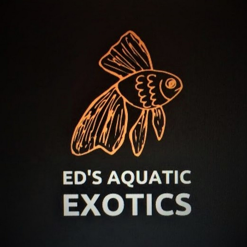 Ed's Aquatic Exotics