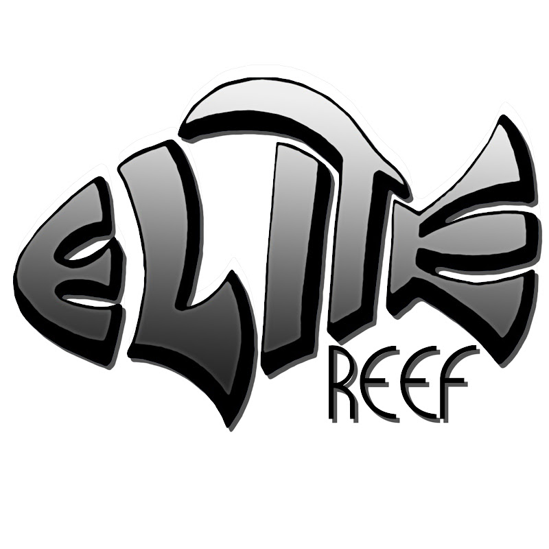 Elite Reef Denver