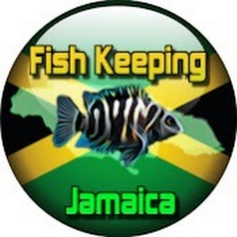Fish Keeping Jamaica & ADVENTURES