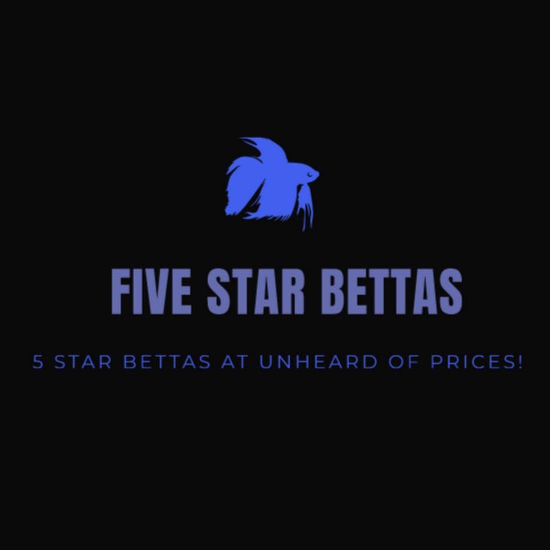 Five Star Bettas