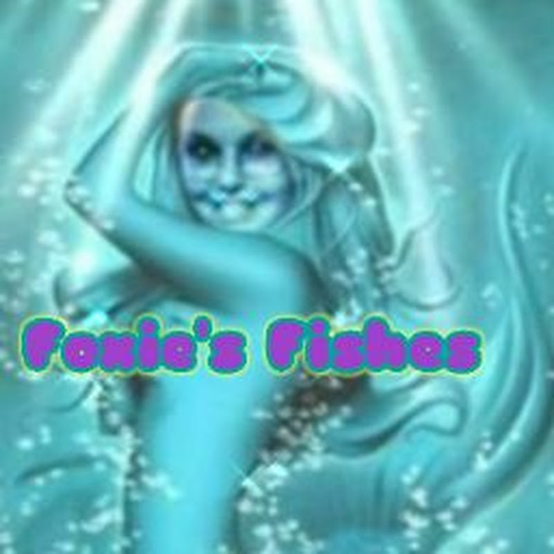 Foxie's Fishes