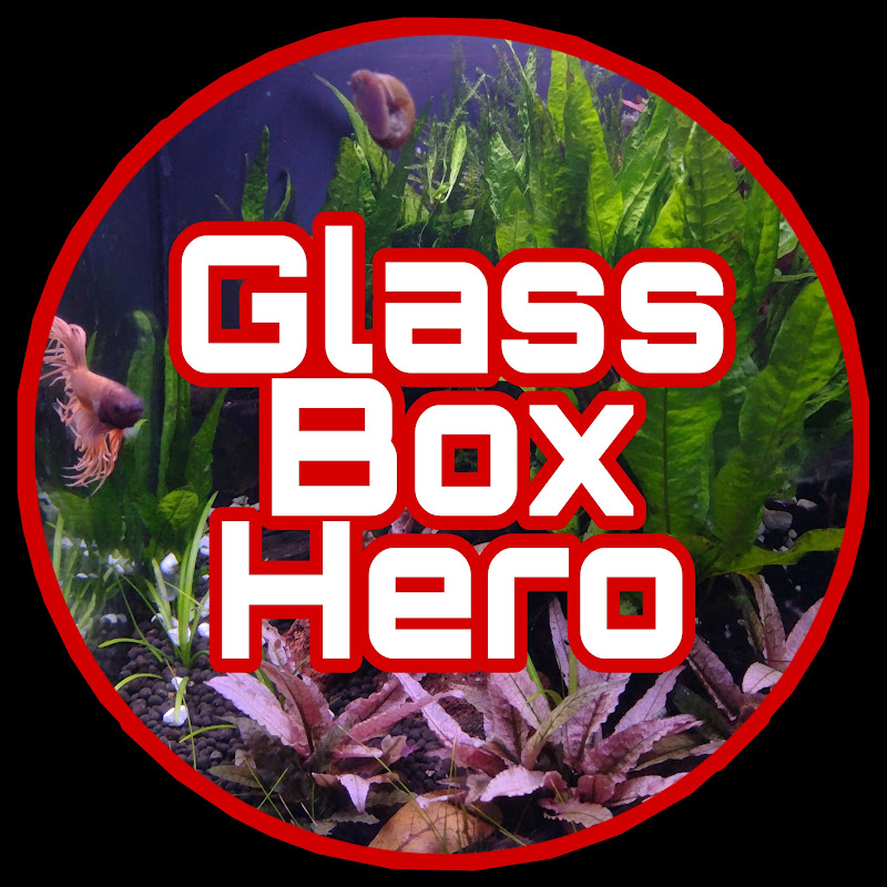 Glass Box Hero