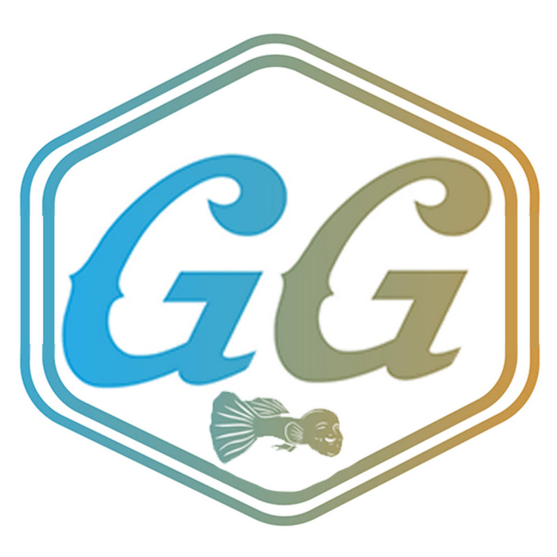 Guppy Guru