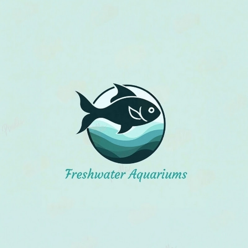 Here fishy fishy