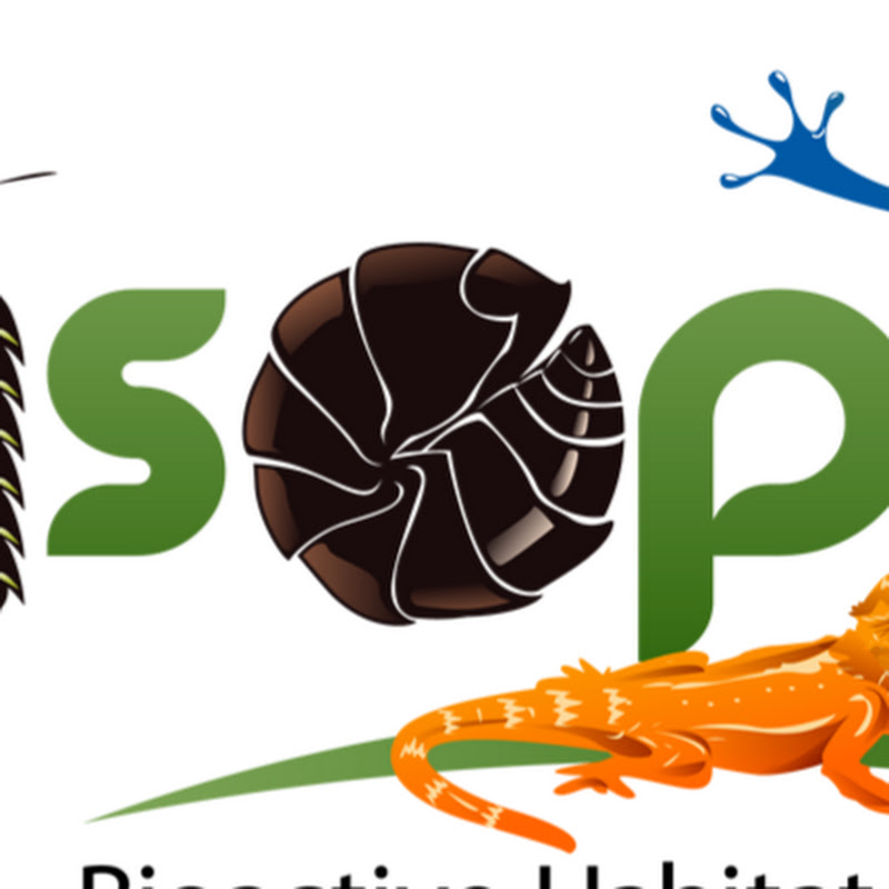 Isopods and More LLC