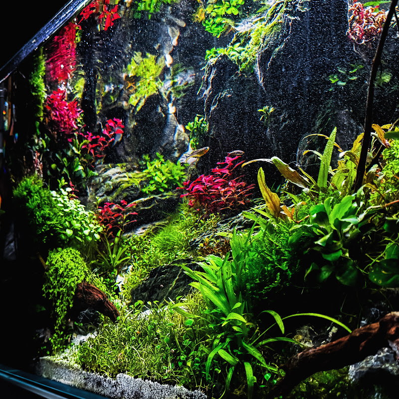 James’ Nature Aquatics