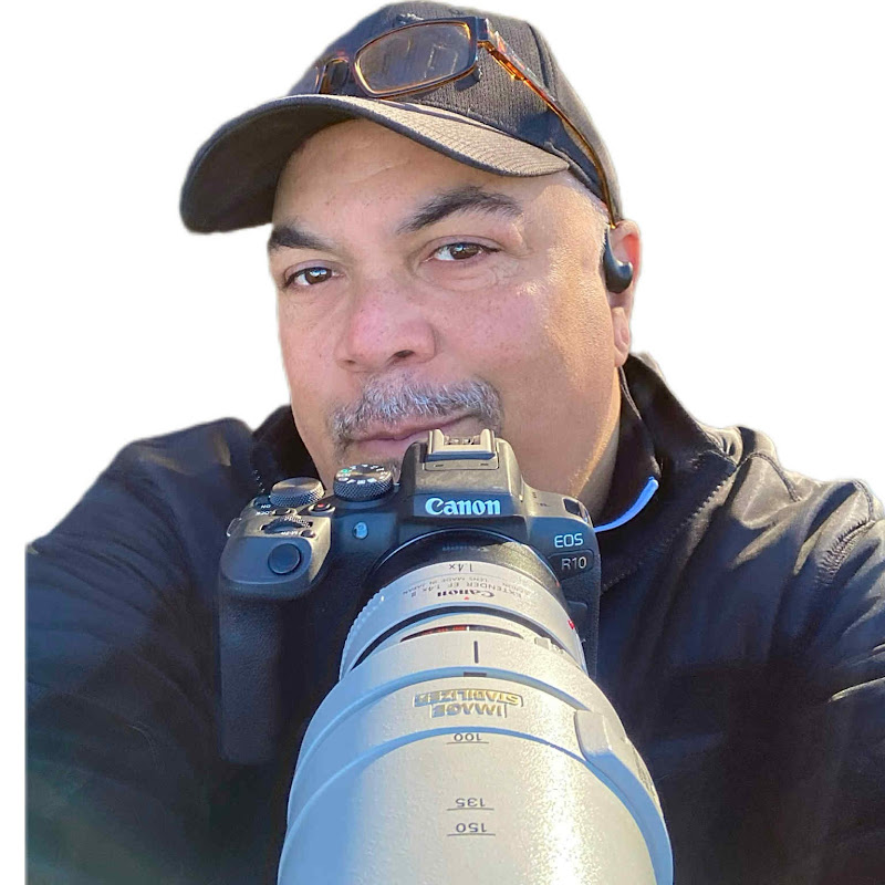 Johnscottanthony  Bird Photography