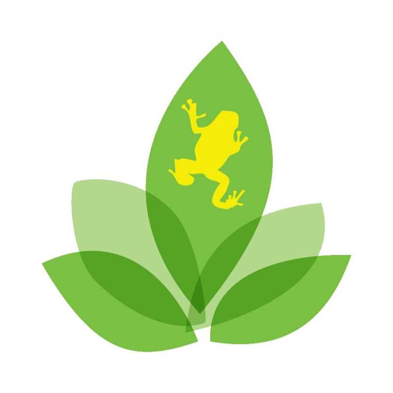 Josh's Frogs