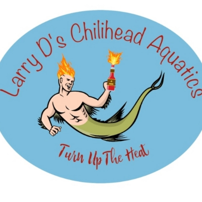 Larry D's Chilihead Aquatics 