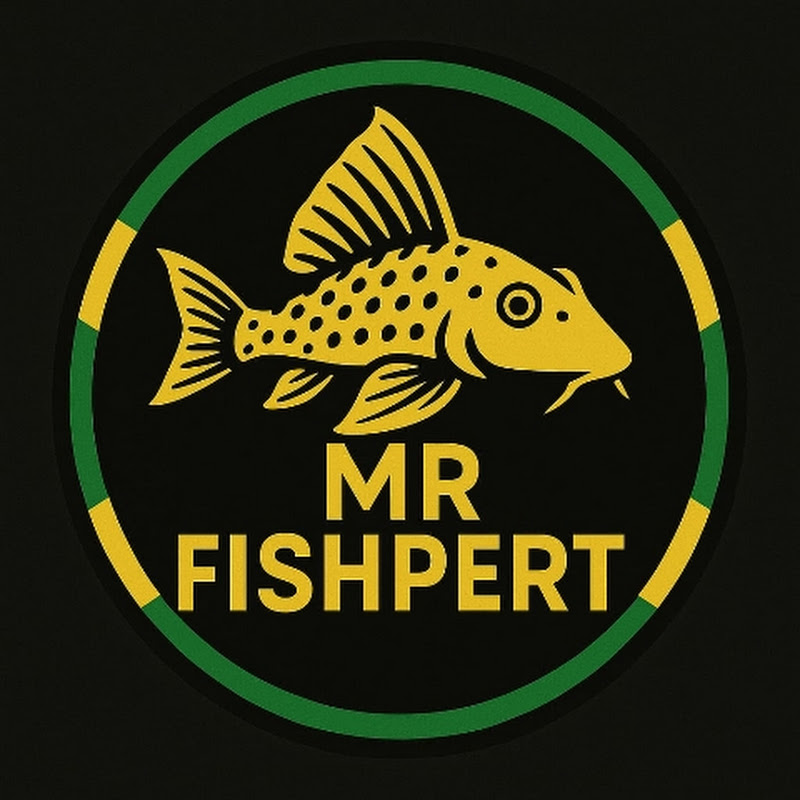 Mr fishpert (Rob) 🇬🇧 