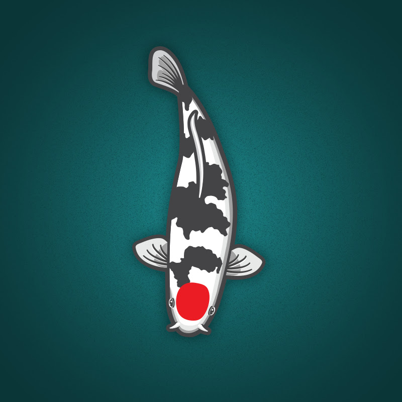 Next Day Koi