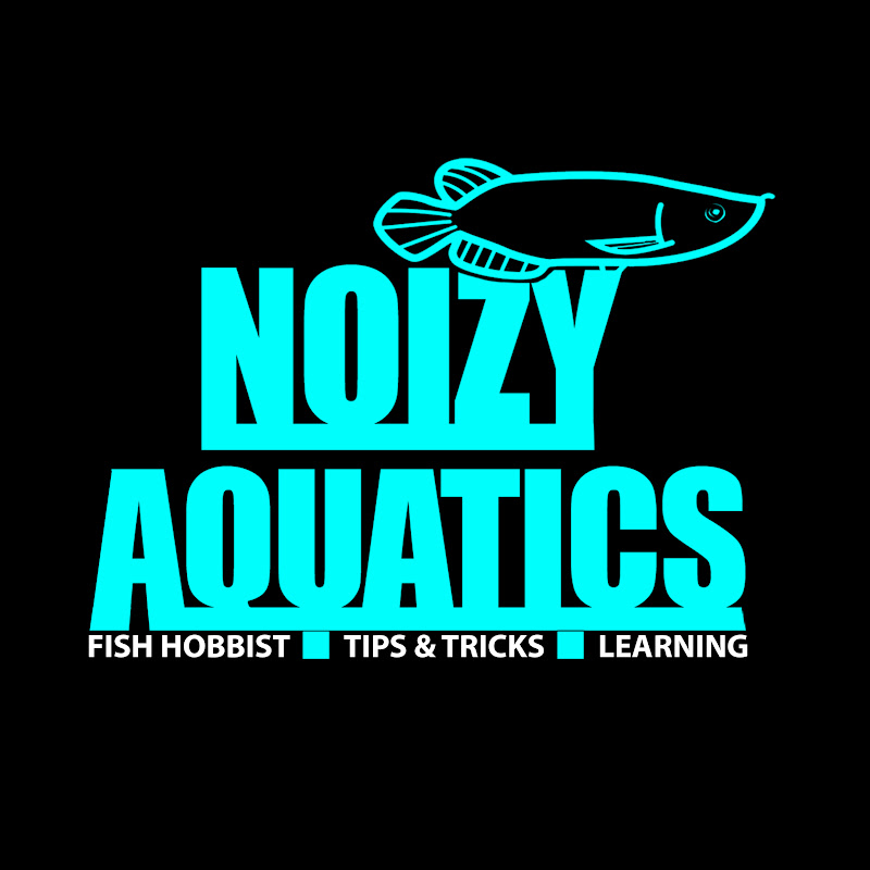 Noizy Aquatics