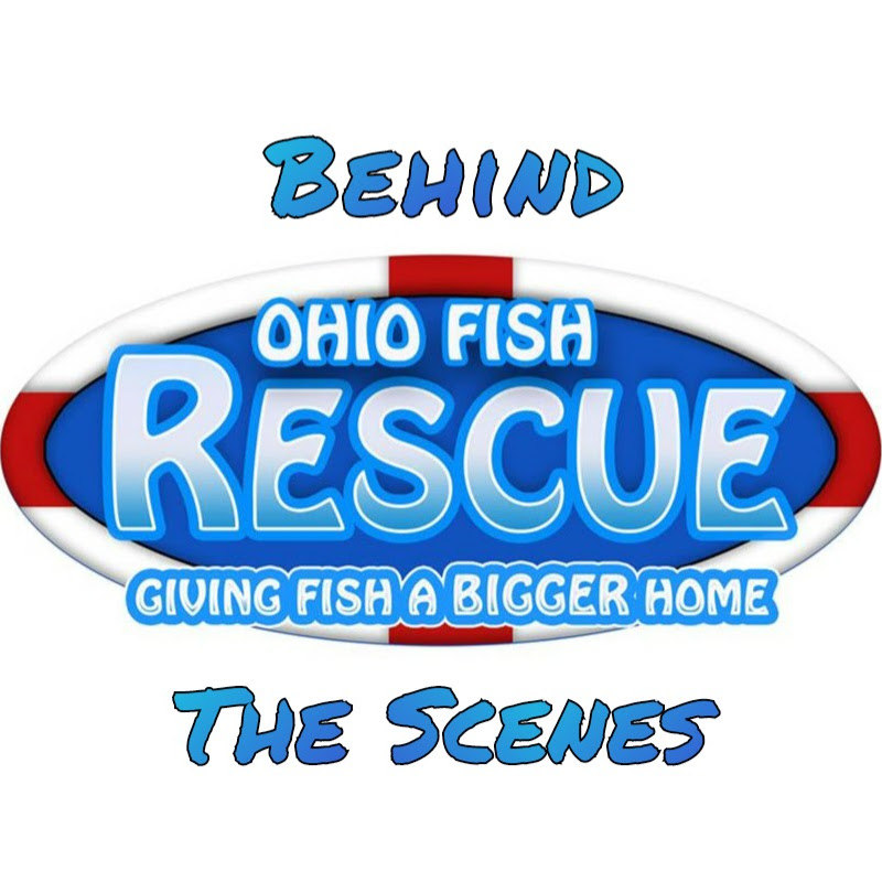 OFR Behind The Scenes