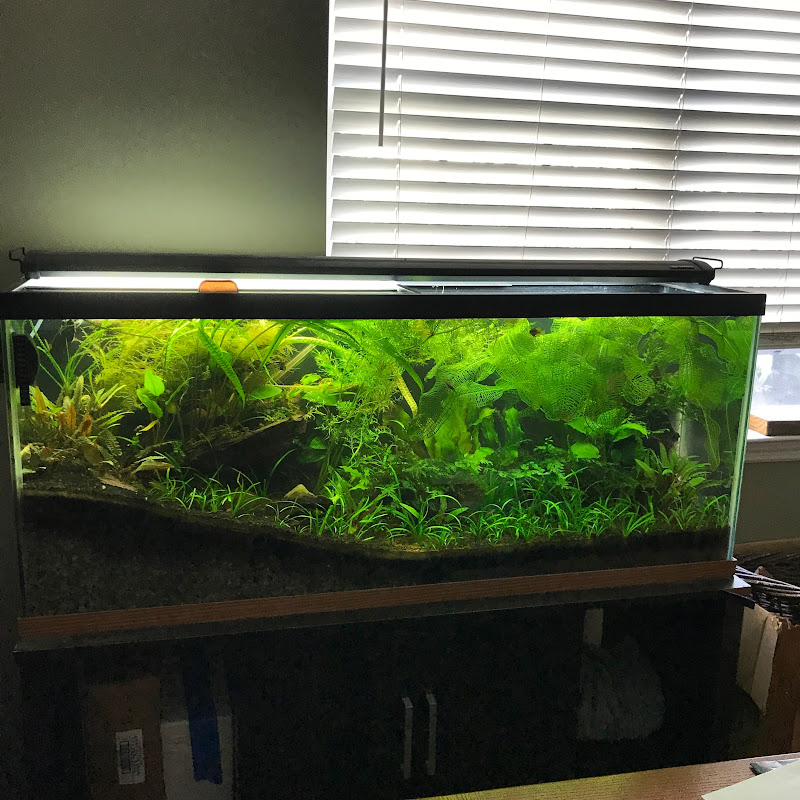 Ormson Aquarium Design