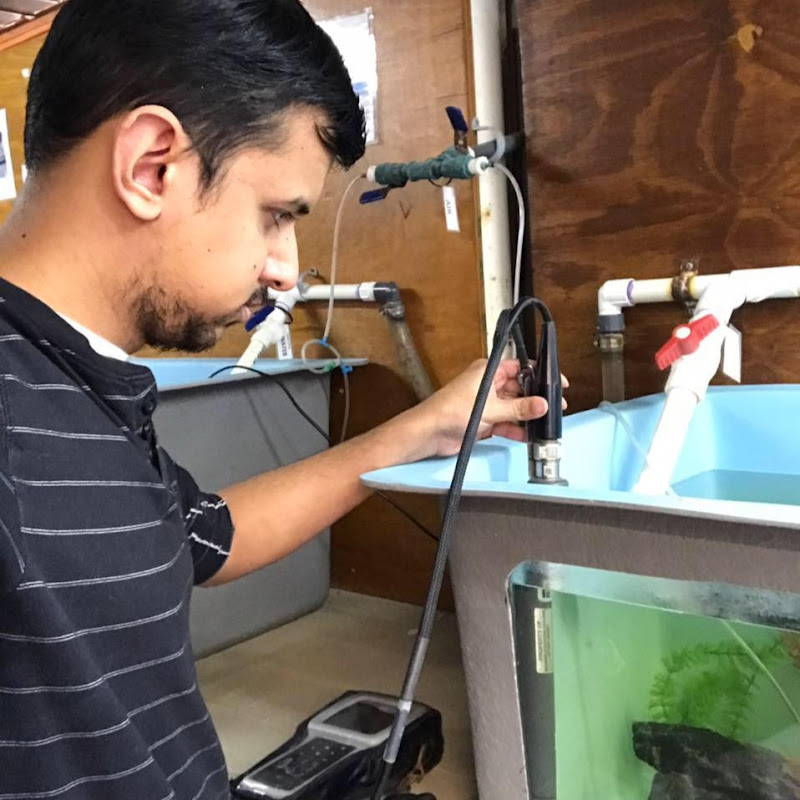 Prof. FishTanks