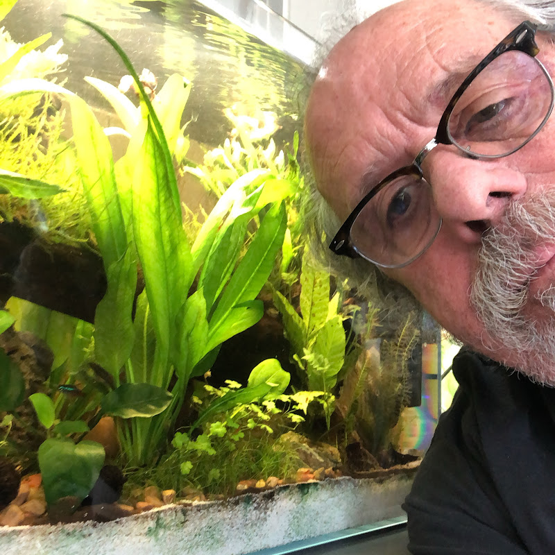 RonsGarageAquatics