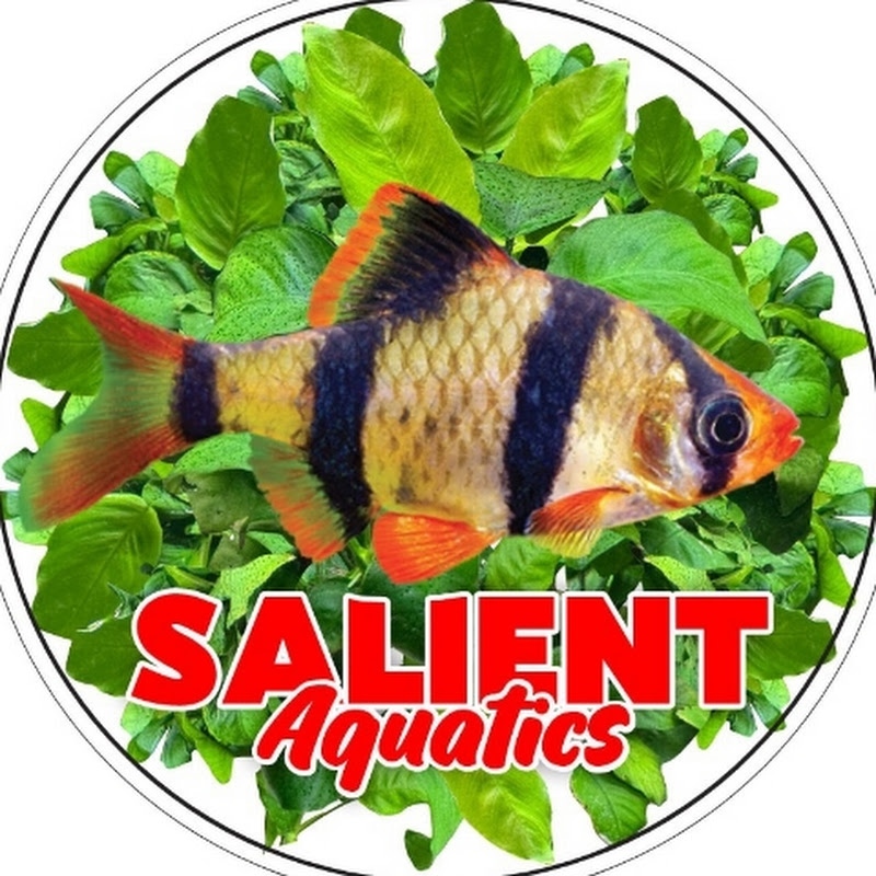 SALIENT AQUATICS