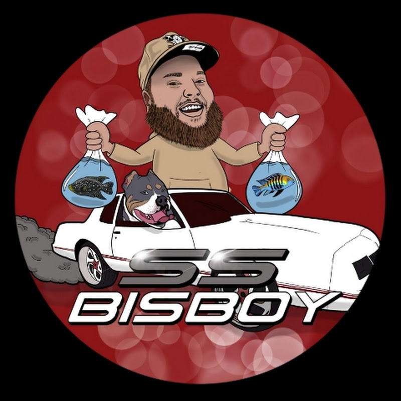 SS Bisboy