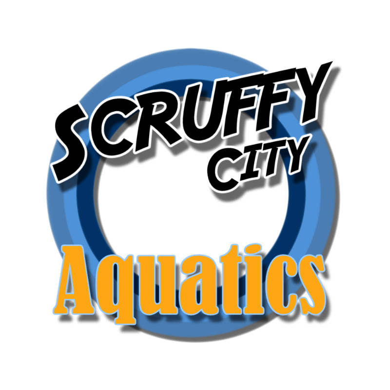 Scruffy City Aquatics