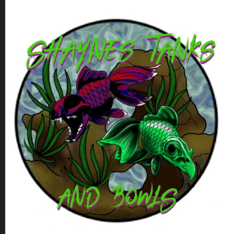 Shayne's Tanks & Bowls
