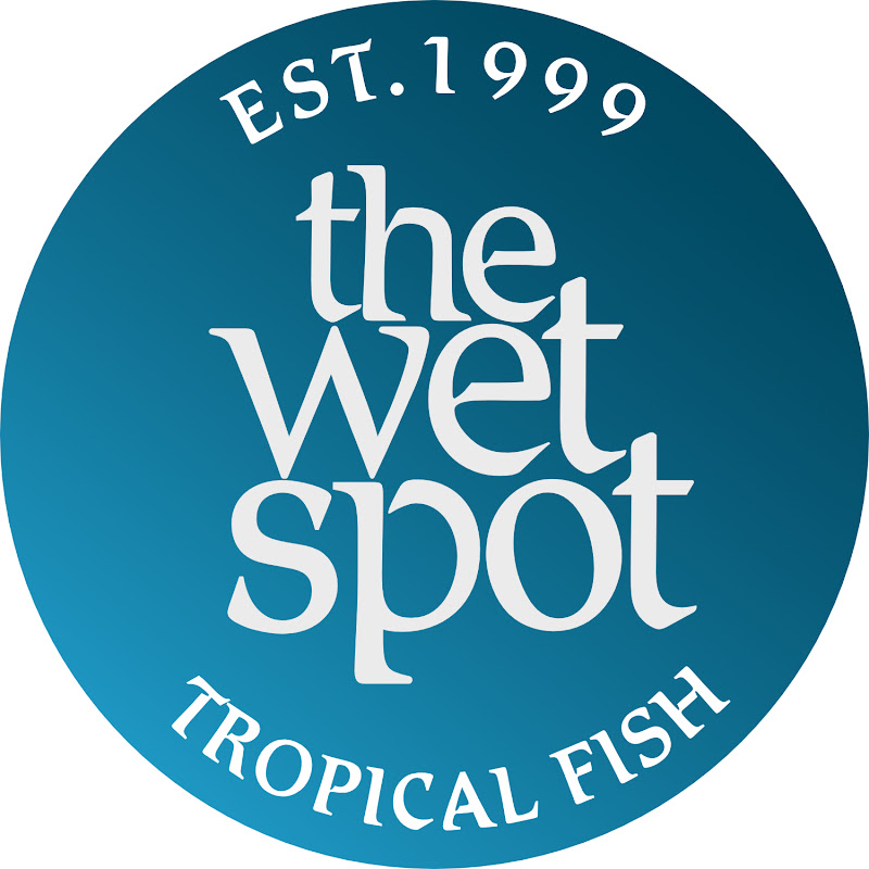 The Wet Spot Tropical Fish