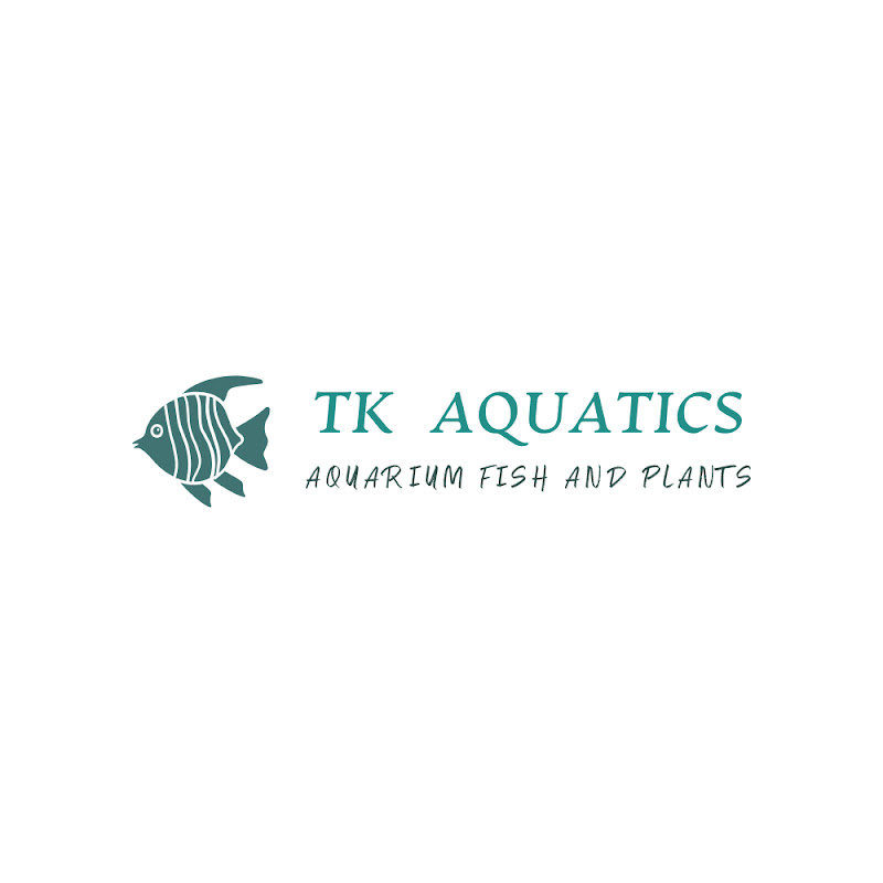 Tk Aquatics