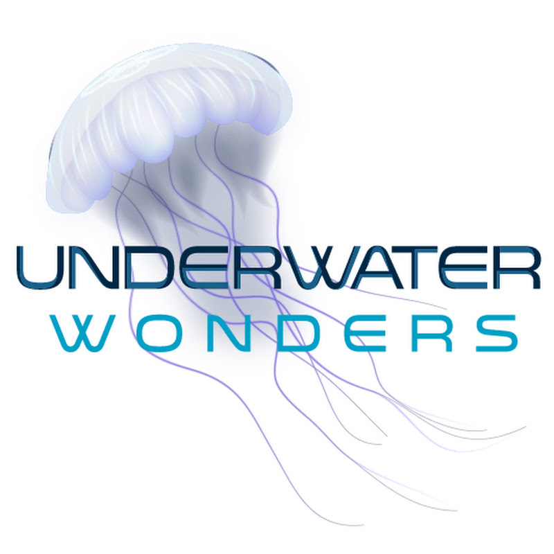 Underwater Wonders