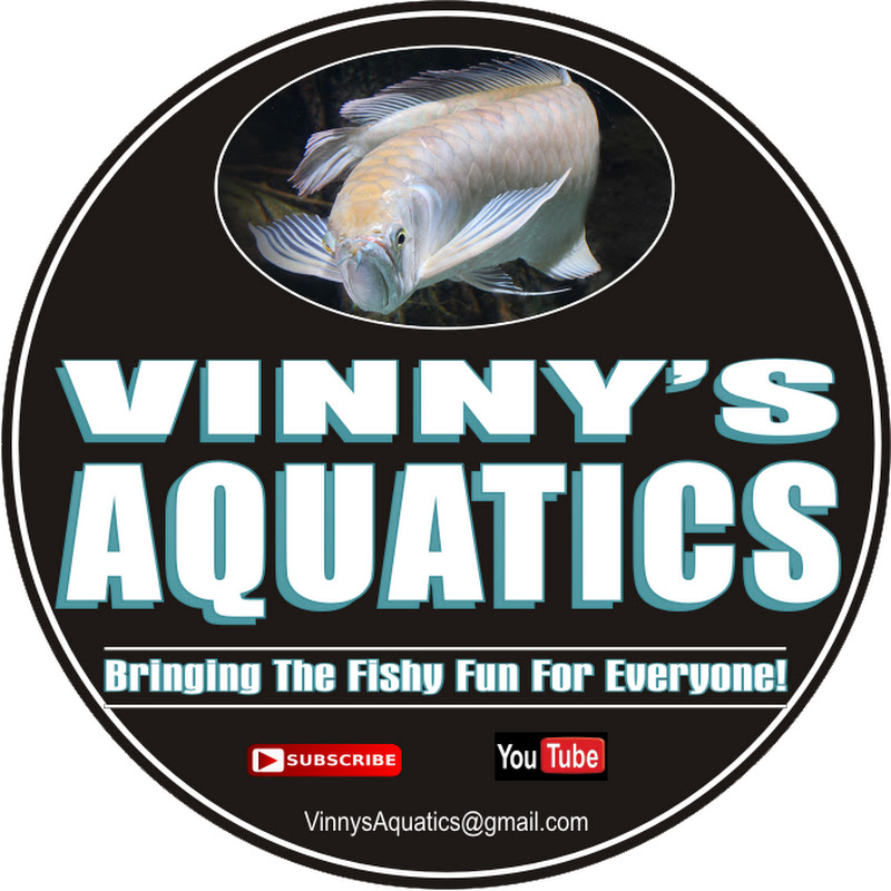 Vinny’s Aquatics