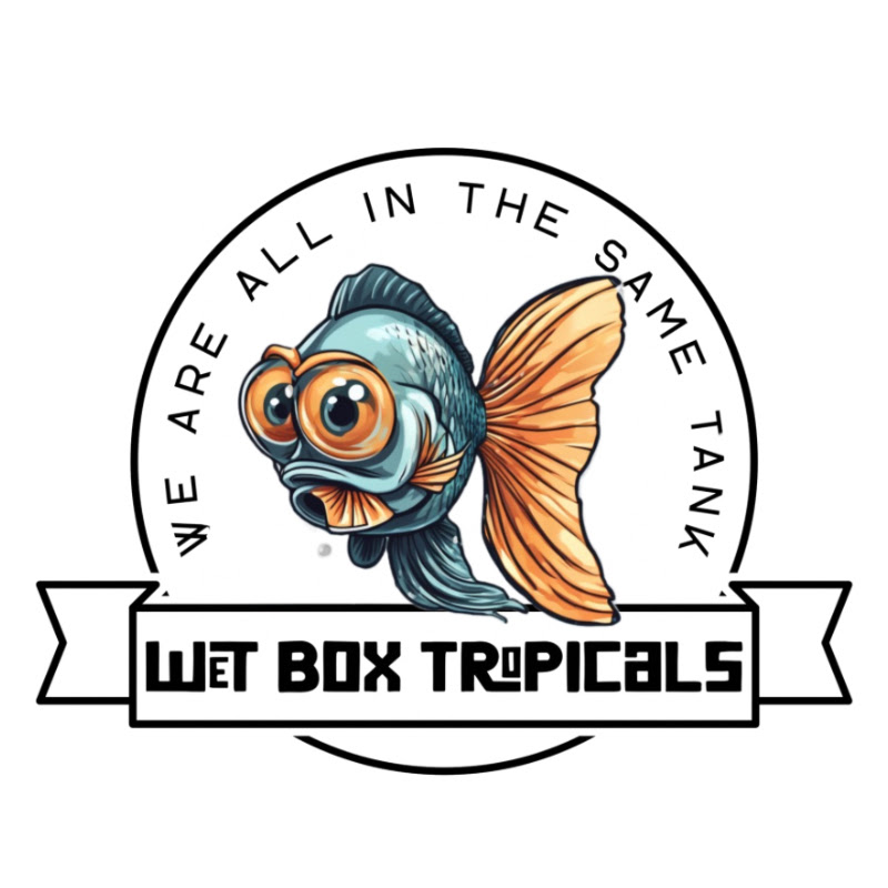 Wet Box Tropicals 