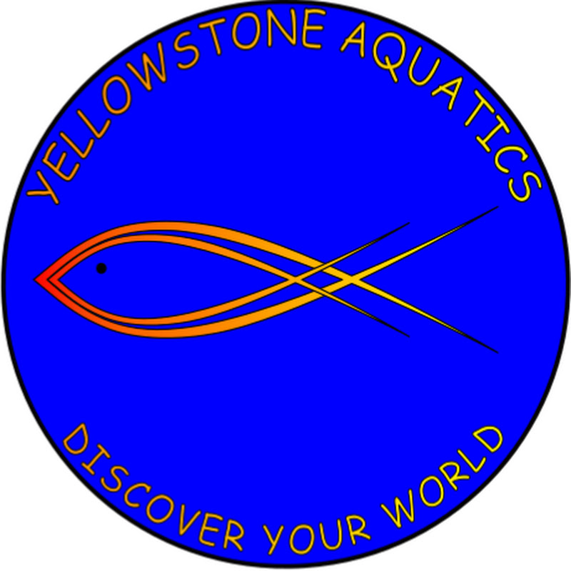 Yellowstone Aquatics
