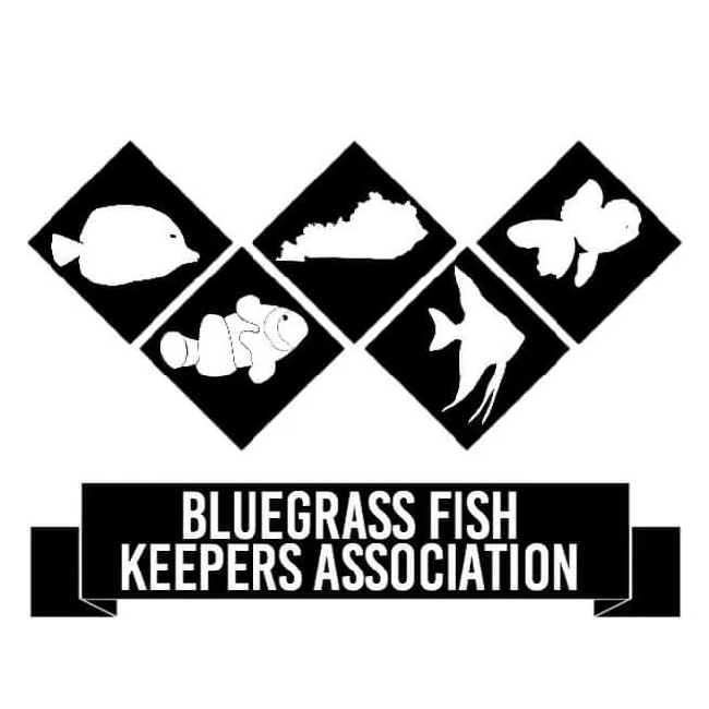 Bluegrass Fish Keepers Association 