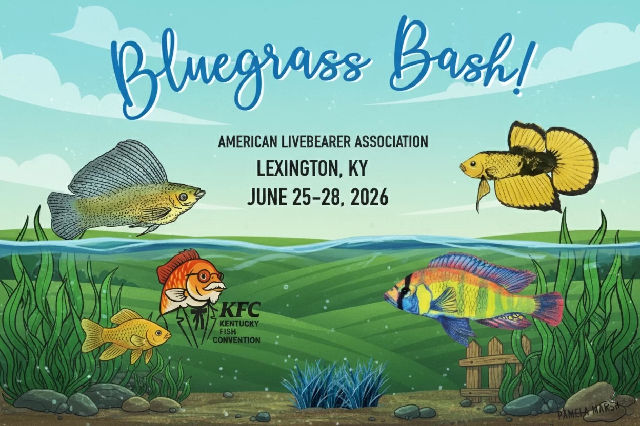 Bluegrass Bash - The Kentucky Fish Convention 